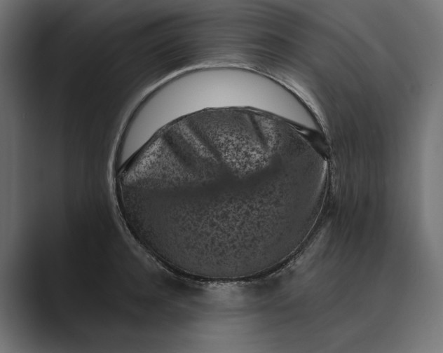 X0000088920944200706291525
