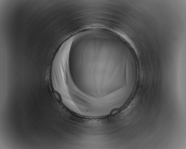 X0000088920945200706291525