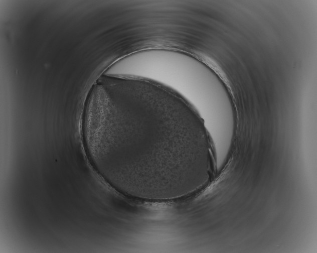 X0000088920946200706291525