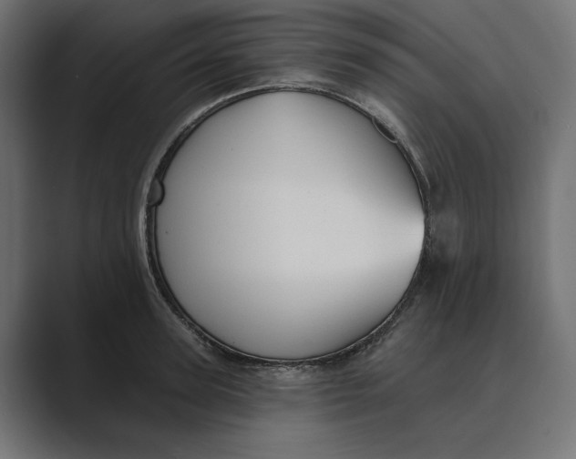 X0000088920947200706291525