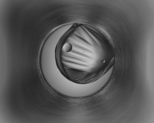 X0000088920948200706291525