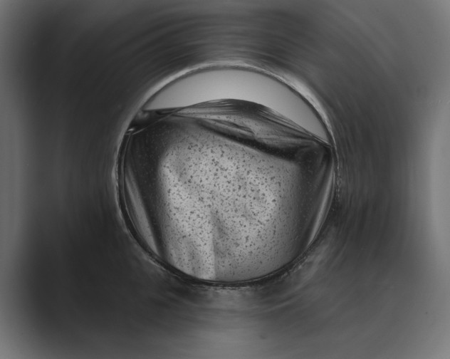 X0000088920951200706291525