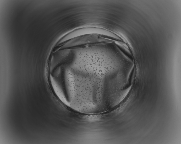 X0000088920952200706291525