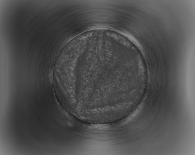 X0000088920953200706291525