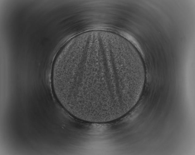 X0000088920954200706291525