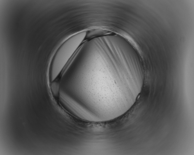 X0000088920955200706291525