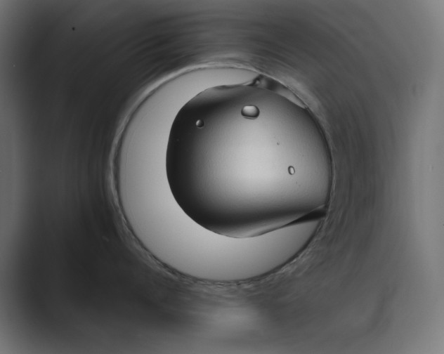 X0000088920960200706291525