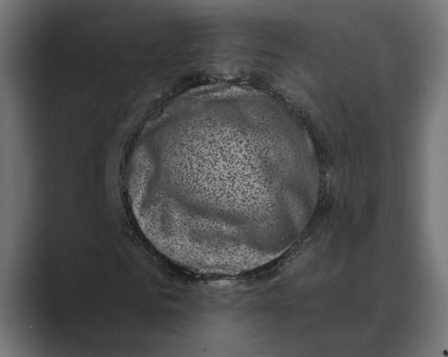 X0000088920961200706291524