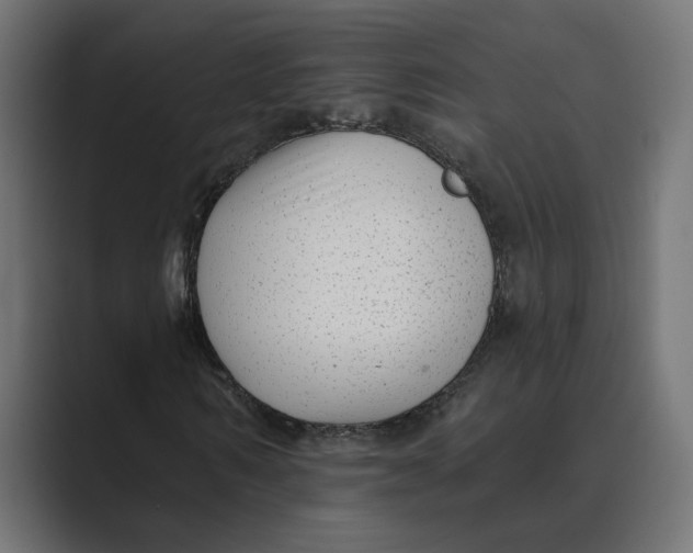 X0000088920962200706291524