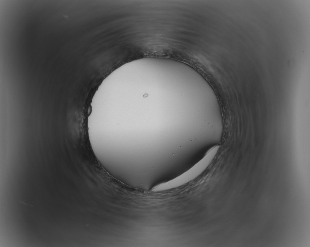 X0000088920964200706291524