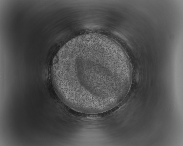 X0000088920966200706291524
