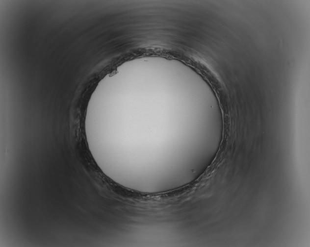 X0000088920968200706291524