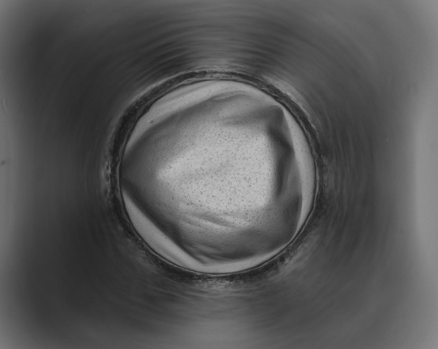 X0000088920971200706291524