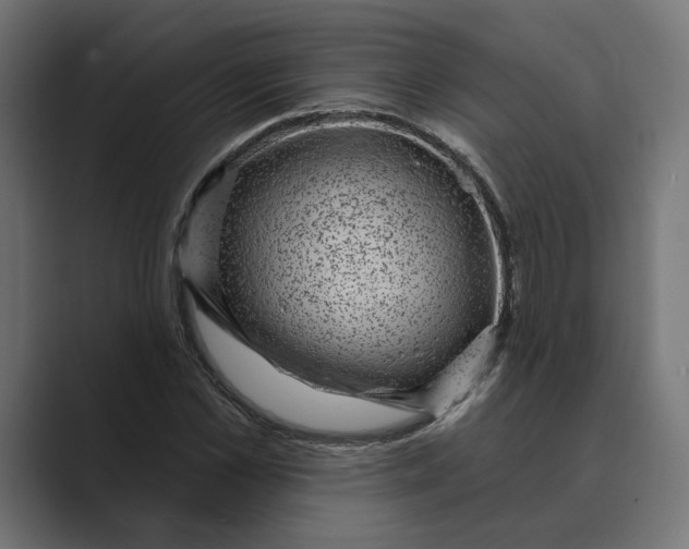 X0000088920973200706291524