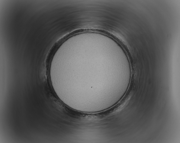 X0000088920974200706291524