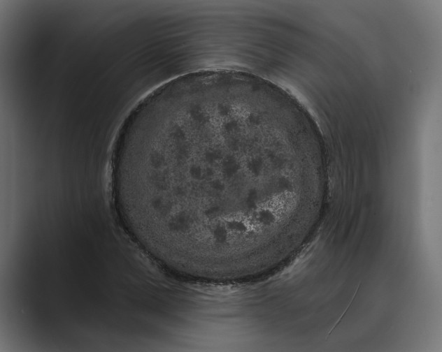 X0000088920975200706291524