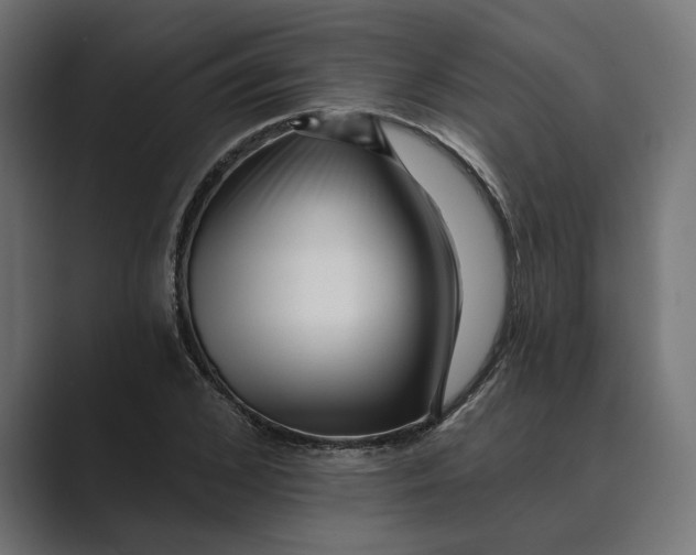 X0000088920976200706291524