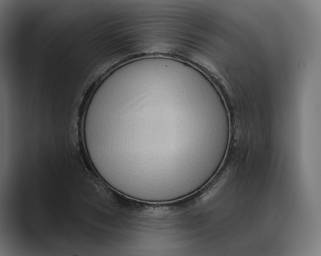 X0000088920978200706291524