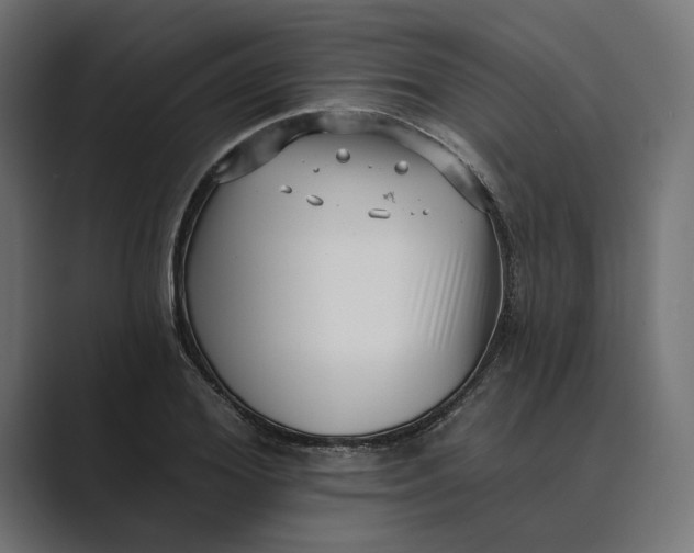 X0000088920980200706291524