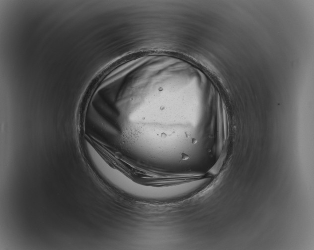 X0000088920981200706291524