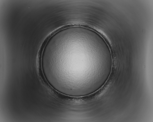 X0000088920983200706291524
