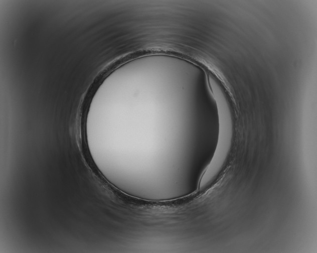 X0000088920984200706291524