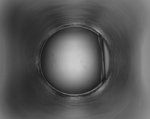 X0000088920985200706291524