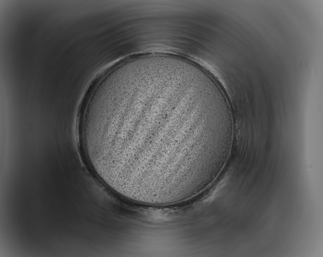 X0000088920987200706291524