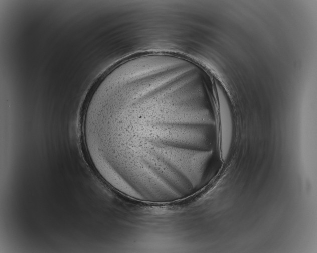X0000088920990200706291524