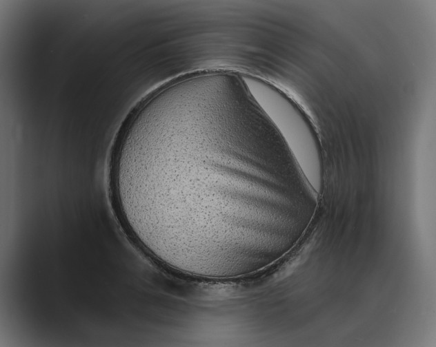 X0000088920991200706291524