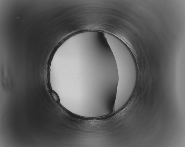 X0000088920992200706291524