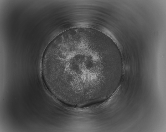 X0000088920994200706291524