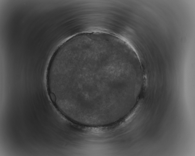 X0000088920995200706291524