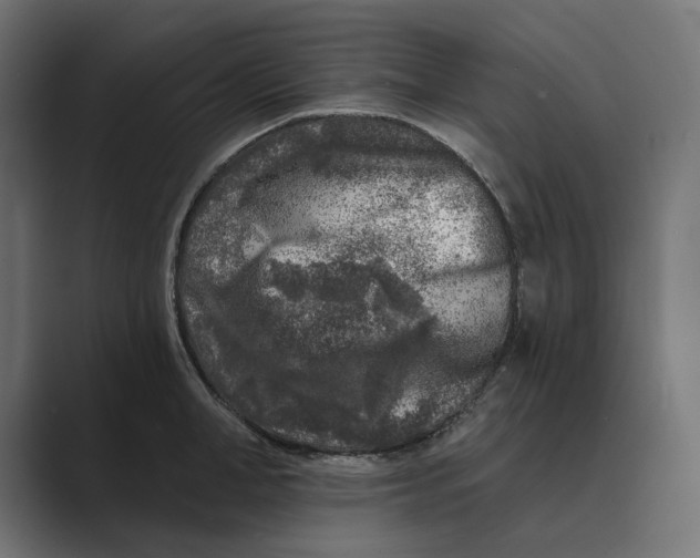 X0000088920998200706291524