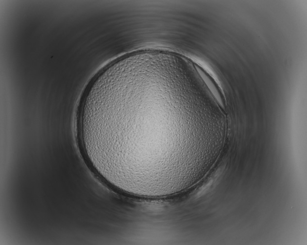 X0000088920999200706291524