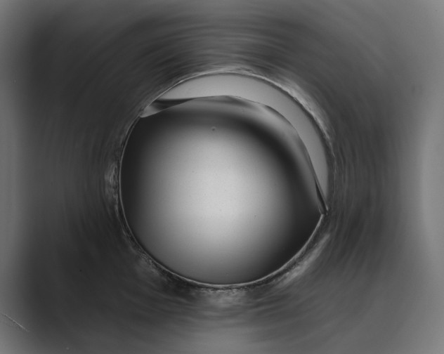 X0000088921001200706291524