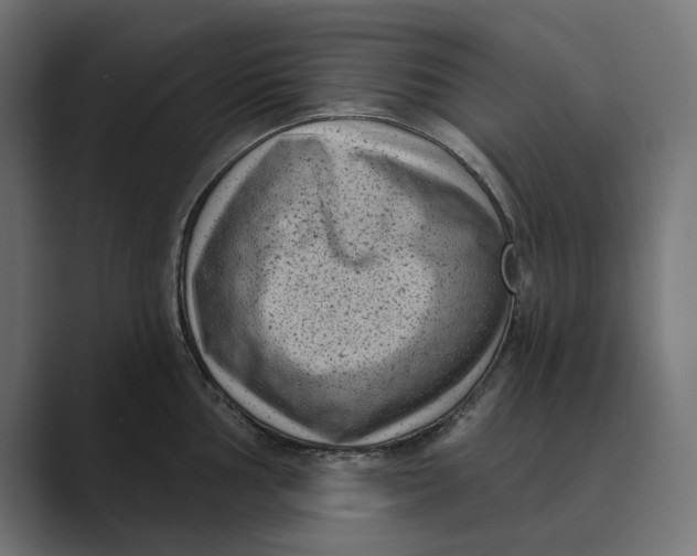 X0000088921002200706291524