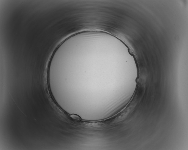 X0000088921004200706291524