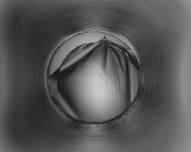X0000088921005200706291524