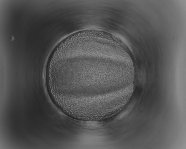 X0000088921007200706291524