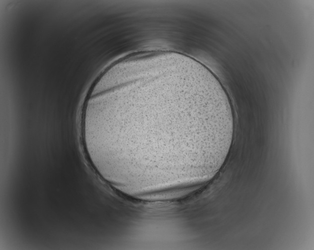 X0000088921008200706291524