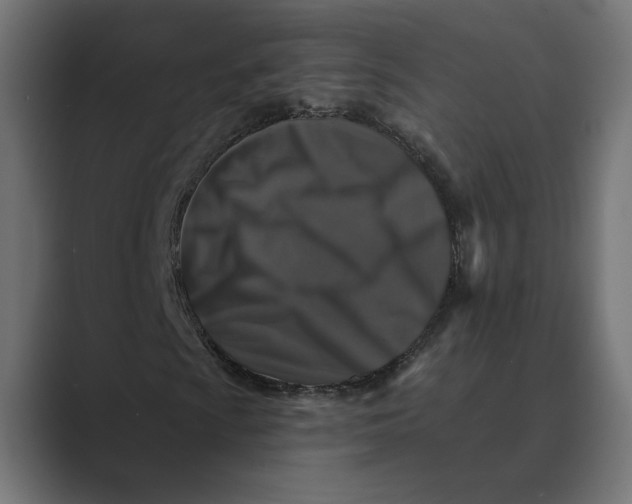 X0000088921009200706291523