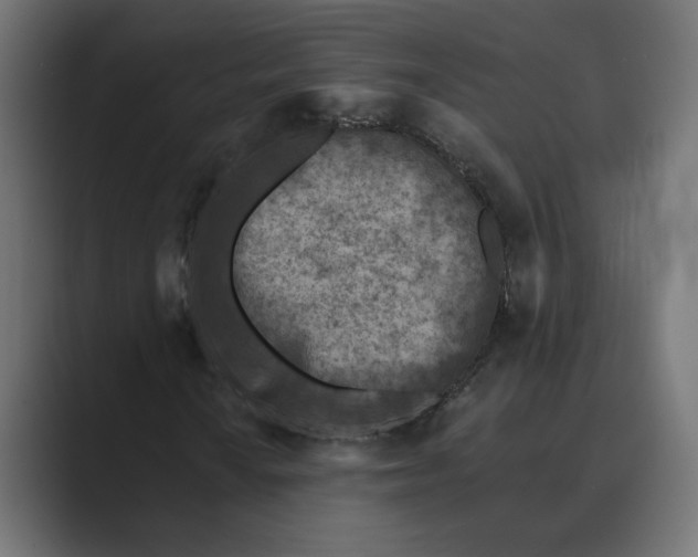 X0000088921010200706291523
