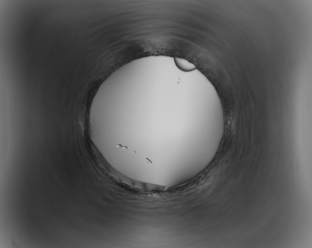 X0000088921012200706291523