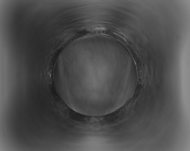 X0000088921013200706291523