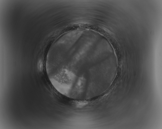 X0000088921014200706291523