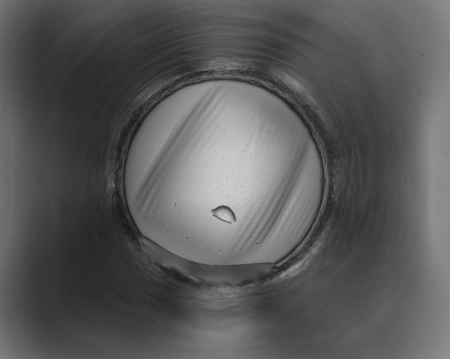 X0000088921017200706291523
