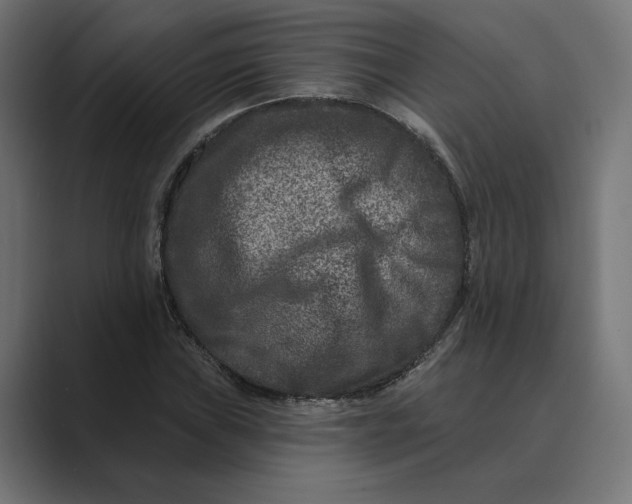 X0000088921019200706291523