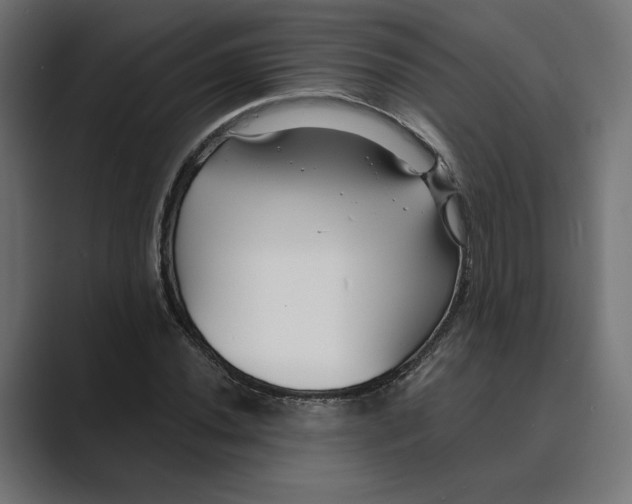 X0000088921020200706291523