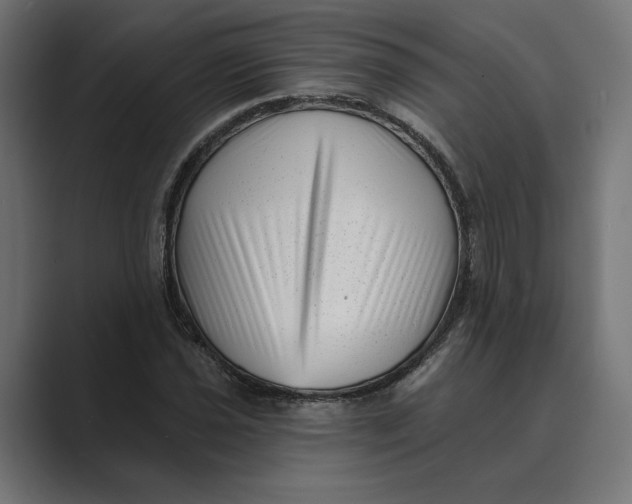 X0000088921021200706291523